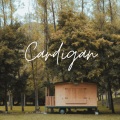 Xanemusic - Cardigan (TikTok Version Sped)(Remix)