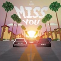 Miss You (Explicit)