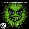 COLLECTION OF BIG ROOM