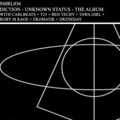 Diction、Tawa Girl - Unknown Status
