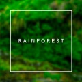 Rainforest