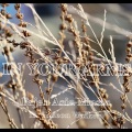 Fajar Asia Music、Gideon Walker - In Your Arms