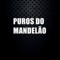 Puros Do Mandelão (Explicit)