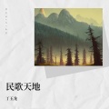 丁玉龙 - 火辣辣的情歌
