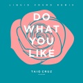 Do What You Like (Liquid Cosmo Remix|Radio Edit)