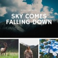 Sky Comes Falling Down