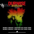 Invisible Landscape、Ragga Twins - Brock Wild