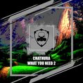 What You Need 2