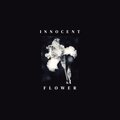 Violet Iris、Jennifer Vogeler - Dinosaurs & the Moon