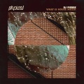 DJ Pierre、Roland Leesker - What Is House Muzik