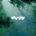 oh the joy. - midnight drizzle