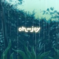 oh the joy. - cleansing rain