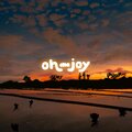 oh the joy. - levitation