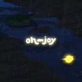 oh the joy. - evening rainfall