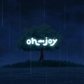 oh the joy. - island shower