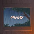 oh the joy. - through the window