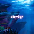 oh the joy. - voyage