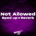 Not Allowed (Sped Up + Reverb)(Remix)