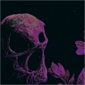 Chiffyr、Freddie Dredd - Im a Murderer (Explicit)
