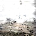 spiderblush、pandi - The Lake (pandi Remix)