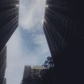 tyronee、TSL、hairan - Hold My Hands (feat. hairan & TSL)