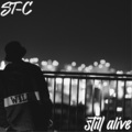 ST-C - STYLE