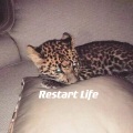 Restart Life