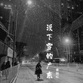 南方的街下起了北方的雪