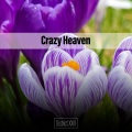 Crazy Heaven District XXIII
