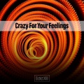 Crazy For Your Feelings District XXIII