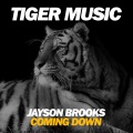 Jayson Brooks - Coming Down