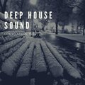 Sergey Bedrock - Evening Walk In The Synthesized Jungle