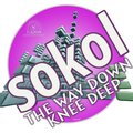 Sokol - The Way Down Knee Deep