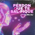 Lipa DJ - Perdon Que Te Sal Pique