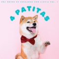 Colectivo De Música Para Perros、Paisajes Binaurales、Aguas Pura - Lluvia Primaveral