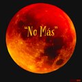 Seekae - No Más