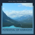 Divinity and Devotion Records、Relaxing Mandala Co、Alluring Melody Productions - My Prayer