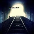 SergeyZimin - Sleep