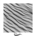 Relaxation Drowsy Pink Noise