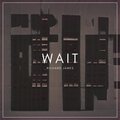 richard james - Wait