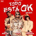 Todo Está Ok Remix (Prod. by Dj Cham)