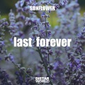 sunflower - Last Forever