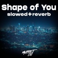 Shape of You (slowed+reverb)(Remix)