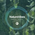 NatureVibes - Inner Voice (Original Mix)