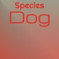 syam - Species Dog