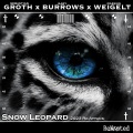 Snow Leopard (2023 Re-Attack)