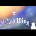 Melted Wing