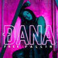 Free Fallin'