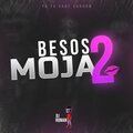 dj roman - Besos Mojados (Remix)