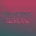 Nector、Louy Papy - Placing Several